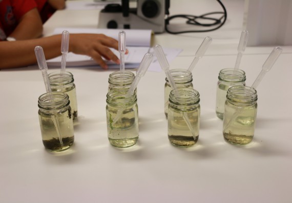 ภาพกิจกรรม คณะวิทยาศาสตร์และเทคโนโลยี จัดโครงการค่ายวิทยาศาสตร์นักเรียนห้องเรียนพิเศษวิทยาศาสตร์ ระดับชั้นมัธยมศึกษาปีที่ 2 โรงเรียนกำแพงเพชรพิทยาคม 