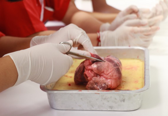 ภาพกิจกรรม คณะวิทยาศาสตร์และเทคโนโลยี จัดโครงการค่ายวิทยาศาสตร์นักเรียนห้องเรียนพิเศษวิทยาศาสตร์ ระดับชั้นมัธยมศึกษาปีที่ 2 โรงเรียนกำแพงเพชรพิทยาคม 