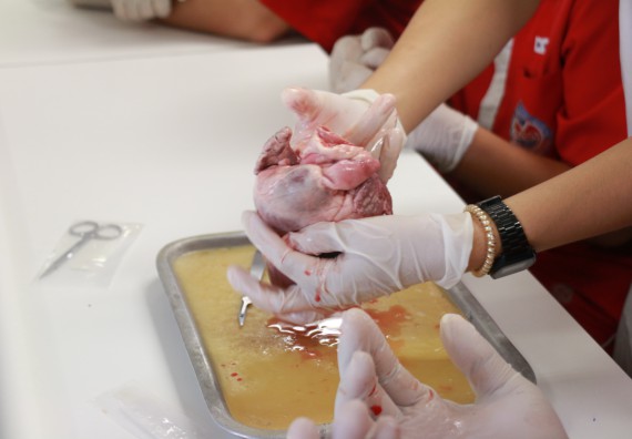 ภาพกิจกรรม คณะวิทยาศาสตร์และเทคโนโลยี จัดโครงการค่ายวิทยาศาสตร์นักเรียนห้องเรียนพิเศษวิทยาศาสตร์ ระดับชั้นมัธยมศึกษาปีที่ 2 โรงเรียนกำแพงเพชรพิทยาคม 