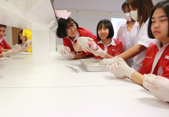 ภาพกิจกรรม คณะวิทยาศาสตร์และเทคโนโลยี จัดโครงการค่ายวิทยาศาสตร์นักเรียนห้องเรียนพิเศษวิทยาศาสตร์ ระดับชั้นมัธยมศึกษาปีที่ 2 โรงเรียนกำแพงเพชรพิทยาคม 