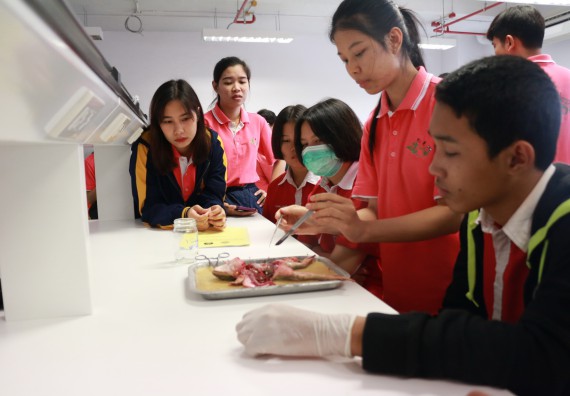 ภาพกิจกรรม คณะวิทยาศาสตร์และเทคโนโลยี จัดโครงการค่ายวิทยาศาสตร์นักเรียนห้องเรียนพิเศษวิทยาศาสตร์ ระดับชั้นมัธยมศึกษาปีที่ 2 โรงเรียนกำแพงเพชรพิทยาคม 