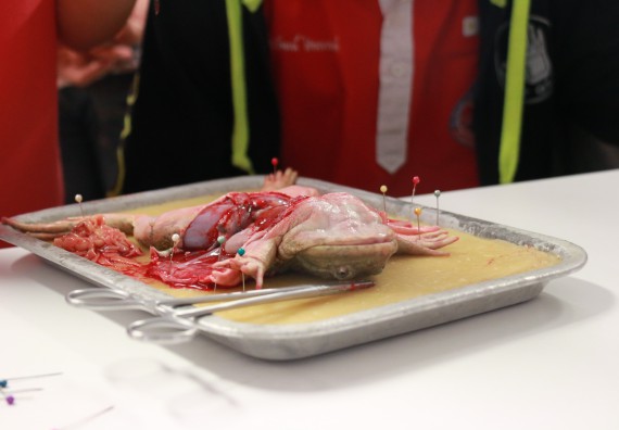 ภาพกิจกรรม คณะวิทยาศาสตร์และเทคโนโลยี จัดโครงการค่ายวิทยาศาสตร์นักเรียนห้องเรียนพิเศษวิทยาศาสตร์ ระดับชั้นมัธยมศึกษาปีที่ 2 โรงเรียนกำแพงเพชรพิทยาคม 