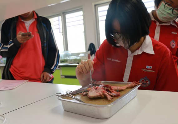 ภาพกิจกรรม คณะวิทยาศาสตร์และเทคโนโลยี จัดโครงการค่ายวิทยาศาสตร์นักเรียนห้องเรียนพิเศษวิทยาศาสตร์ ระดับชั้นมัธยมศึกษาปีที่ 2 โรงเรียนกำแพงเพชรพิทยาคม 