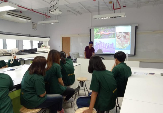 ภาพกิจกรรม โปรแกรมวิชาชีววิทยา จัดโครงการส่งเสริมการจัดการเรียนการสอนในศตวรรษที่ 21 ทฤษฎีการถ่ายภาพ และเทคนิคการถ่ายภาพทางวิทยาศาสตร์