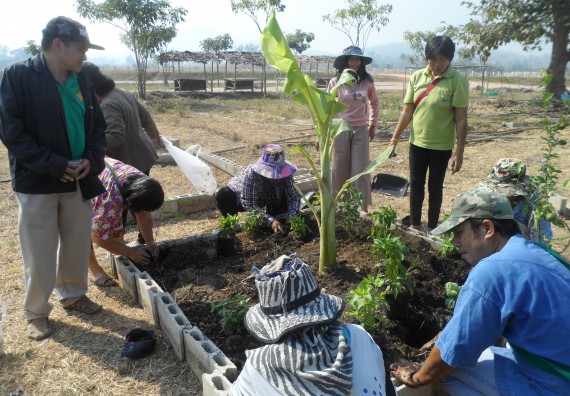 ภาพกิจกรรม  โปรแกรมวิชาเกษตรศาสตร์ จัดอบรม เรื่อง หลุมพอเพียงกับการปลูกพืช
