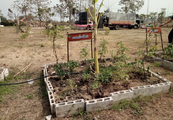 ภาพกิจกรรม  โปรแกรมวิชาเกษตรศาสตร์ จัดอบรม เรื่อง หลุมพอเพียงกับการปลูกพืช