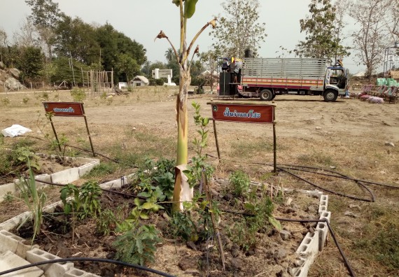 ภาพกิจกรรม  โปรแกรมวิชาเกษตรศาสตร์ จัดอบรม เรื่อง หลุมพอเพียงกับการปลูกพืช