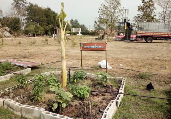 ภาพกิจกรรม  โปรแกรมวิชาเกษตรศาสตร์ จัดอบรม เรื่อง หลุมพอเพียงกับการปลูกพืช