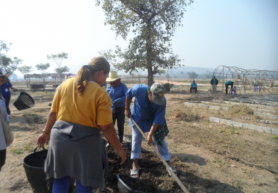 ภาพกิจกรรม  โปรแกรมวิชาเกษตรศาสตร์ จัดอบรม เรื่อง หลุมพอเพียงกับการปลูกพืช