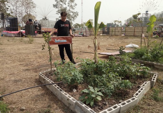 ภาพกิจกรรม  โปรแกรมวิชาเกษตรศาสตร์ จัดอบรม เรื่อง หลุมพอเพียงกับการปลูกพืช
