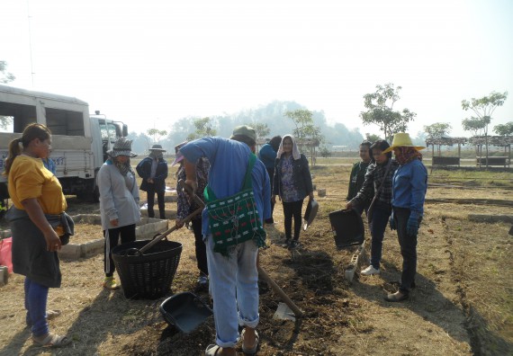 ภาพกิจกรรม  โปรแกรมวิชาเกษตรศาสตร์ จัดอบรม เรื่อง หลุมพอเพียงกับการปลูกพืช