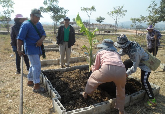 ภาพกิจกรรม  โปรแกรมวิชาเกษตรศาสตร์ จัดอบรม เรื่อง หลุมพอเพียงกับการปลูกพืช
