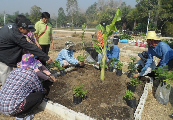 ภาพกิจกรรม  โปรแกรมวิชาเกษตรศาสตร์ จัดอบรม เรื่อง หลุมพอเพียงกับการปลูกพืช