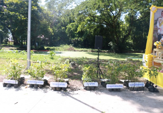 ภาพกิจกรรม พิธีถวายพระพรชัยมงคลและพิธีถวายสัตย์ปฏิญาณ เพื่อเป็นข้าราชการที่ดีและพลังของแผ่นดิน ประจำปี 2563 เนื่องในโอกาสวันเฉลิมพระชนมพรรษา พระบาทสมเด็จพระปรเมนทรรามาธิบดีศรีสินทรมหาวชิราลงกรณ พระวชิรเกล้าเจ้าอยู่หัว