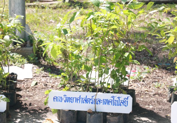 ภาพกิจกรรม พิธีถวายพระพรชัยมงคลและพิธีถวายสัตย์ปฏิญาณ เพื่อเป็นข้าราชการที่ดีและพลังของแผ่นดิน ประจำปี 2563 เนื่องในโอกาสวันเฉลิมพระชนมพรรษา พระบาทสมเด็จพระปรเมนทรรามาธิบดีศรีสินทรมหาวชิราลงกรณ พระวชิรเกล้าเจ้าอยู่หัว