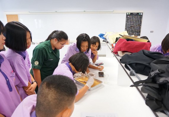 ภาพกิจกรรม โปรแกรมวิชาชีววิทยา จัดกิจกรรมพัฒนาทักษะทางวิชาการและการเผยแพร่องค์ความรู้ของนักศึกษา