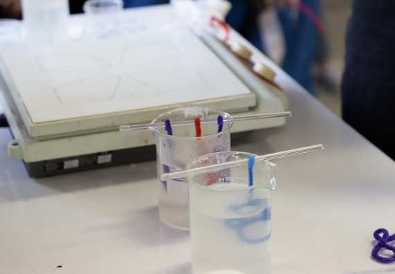 ภาพกิจกรรม  คณะวิทยาศาสตร์และเทคโนโลยี จัดค่ายวิทยาศาสตร์โรงเรียนอนุบาลกำแพงเพชร ระดับชั้นประถมศึกษาปีที่ 1-3