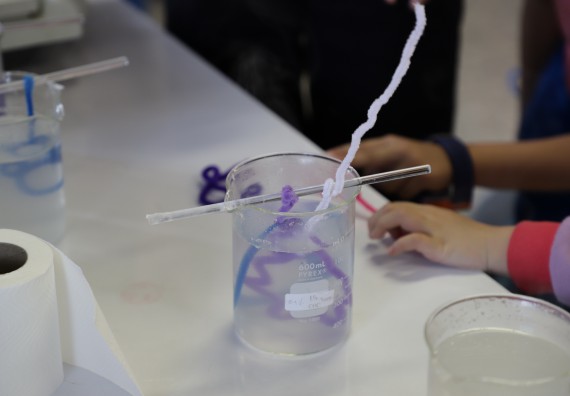 ภาพกิจกรรม  คณะวิทยาศาสตร์และเทคโนโลยี จัดค่ายวิทยาศาสตร์โรงเรียนอนุบาลกำแพงเพชร ระดับชั้นประถมศึกษาปีที่ 1-3