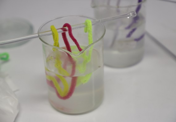 ภาพกิจกรรม  คณะวิทยาศาสตร์และเทคโนโลยี จัดค่ายวิทยาศาสตร์โรงเรียนอนุบาลกำแพงเพชร ระดับชั้นประถมศึกษาปีที่ 1-3