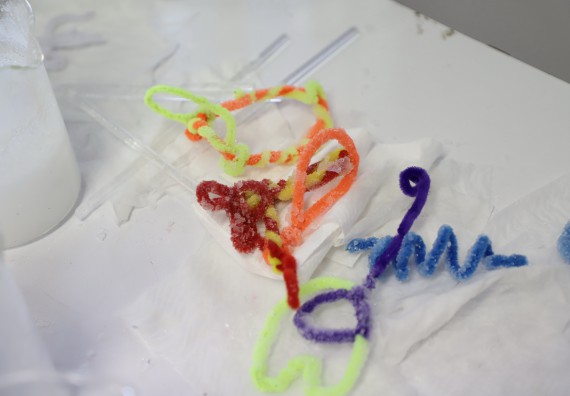 ภาพกิจกรรม  คณะวิทยาศาสตร์และเทคโนโลยี จัดค่ายวิทยาศาสตร์โรงเรียนอนุบาลกำแพงเพชร ระดับชั้นประถมศึกษาปีที่ 1-3