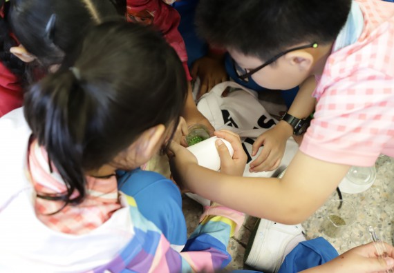 ภาพกิจกรรม  คณะวิทยาศาสตร์และเทคโนโลยี จัดค่ายวิทยาศาสตร์โรงเรียนอนุบาลกำแพงเพชร ระดับชั้นประถมศึกษาปีที่ 1-3