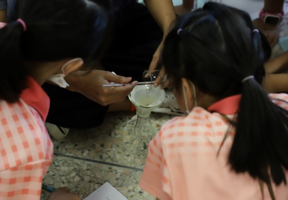 ภาพกิจกรรม  คณะวิทยาศาสตร์และเทคโนโลยี จัดค่ายวิทยาศาสตร์โรงเรียนอนุบาลกำแพงเพชร ระดับชั้นประถมศึกษาปีที่ 1-3