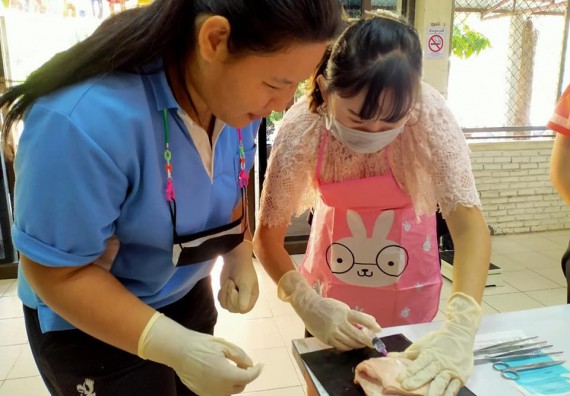 ภาพกิจกรรม โปรแกรมวิชาสาธารณสุขศาสตร์ จัดอบรมการเย็บแผล ตัดไหม