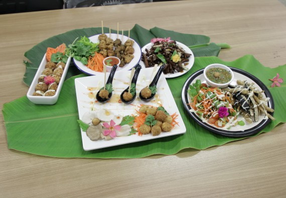 ภาพกิจกรรม โปรแกรมวิชาวิทยาศาสตร์และเทคโนโลยีการอาหาร จัดอบรมเชิงปฏิบัติการ เรื่อง การแปรรูปเห็ด