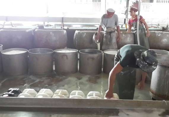 ภาพกิจกรรม ศูนย์วิทยาศาสตร์และวิทยาศาสตร์ประยุกต์ จัดกิจกรรมบริการวิชาการอบรมเชิงปฏิบัติการเรื่องวิธีการเพิ่มมูลจากของเหลือทิ้งแก่โรงงานวุ้นเส้นคลองขลุง