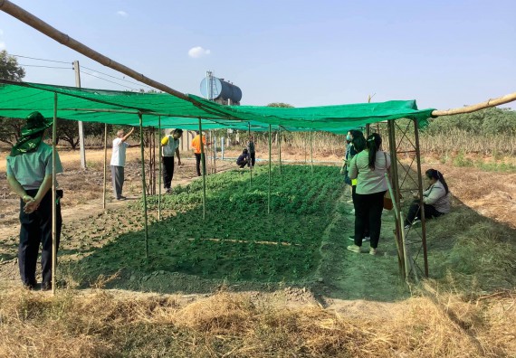 ภาพกิจกรรม คณะวิทยาศาสตร์และเทคโนโลยี จัดการสร้างเครือข่ายและการใช้ประโยชน์จากงานวิจัยของชุมชน การติดตามและประเมินผลจากการนําผลการวิจัยไปใช้ประโยชน์ เรื่อง การผลิตและจําหน่ายน้ำยาบ้วนปากจากน้ำมันมิ้นท์
