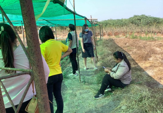 ภาพกิจกรรม คณะวิทยาศาสตร์และเทคโนโลยี จัดการสร้างเครือข่ายและการใช้ประโยชน์จากงานวิจัยของชุมชน การติดตามและประเมินผลจากการนําผลการวิจัยไปใช้ประโยชน์ เรื่อง การผลิตและจําหน่ายน้ำยาบ้วนปากจากน้ำมันมิ้นท์
