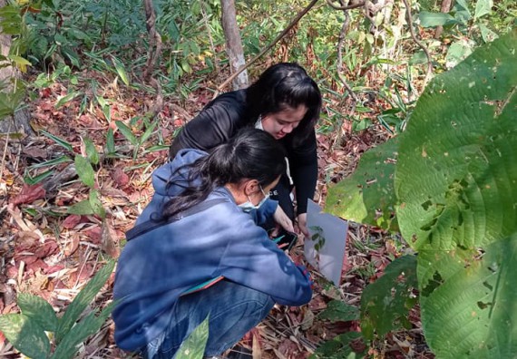 ภาพกิจกรรม โปรแกรมวิชาวิทยาศาสตร์สิ่งแวดล้อม จัดอบรมเชิงปฏิบัติการการสำรวจสมุนไพรโดยชุมชนเพื่อการอนุรักษ์