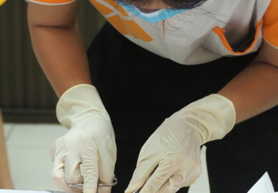 ภาพกิจกรรม โปรแกรมวิชาสาธารณสุขศาสตร์ จัดอบรมการเย็บแผล การตัดไหม