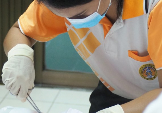 ภาพกิจกรรม โปรแกรมวิชาสาธารณสุขศาสตร์ จัดอบรมการเย็บแผล การตัดไหม