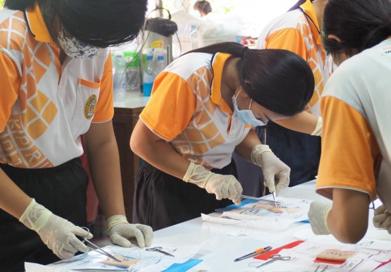 ภาพกิจกรรม โปรแกรมวิชาสาธารณสุขศาสตร์ จัดอบรมการเย็บแผล การตัดไหม