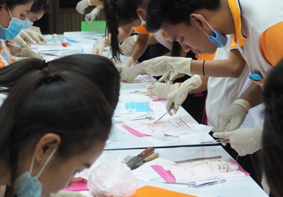 ภาพกิจกรรม โปรแกรมวิชาสาธารณสุขศาสตร์ จัดอบรมการเย็บแผล การตัดไหม