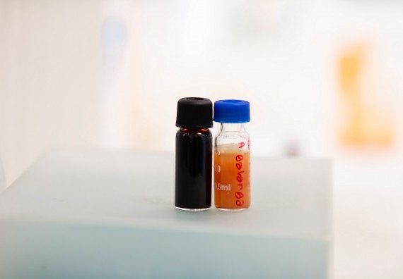 ภาพกิจกรรม โปรแกรมวิชาชีววิทยา จัดค่ายเทคนิคปลอดเชื้อและเพาะเลี้ยงเนื้อเยื่อพืช