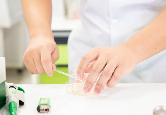 ภาพกิจกรรม โปรแกรมวิชาชีววิทยา จัดค่ายเทคนิคปลอดเชื้อและเพาะเลี้ยงเนื้อเยื่อพืช