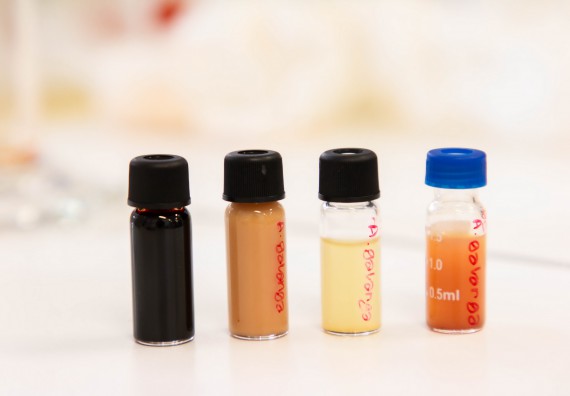 ภาพกิจกรรม โปรแกรมวิชาชีววิทยา จัดค่ายเทคนิคปลอดเชื้อและเพาะเลี้ยงเนื้อเยื่อพืช