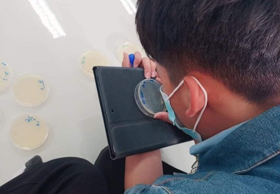 ภาพกิจกรรม โปรแกรมวิชาชีววิทยา จัดค่ายเทคนิคปลอดเชื้อและเพาะเลี้ยงเนื้อเยื่อพืช