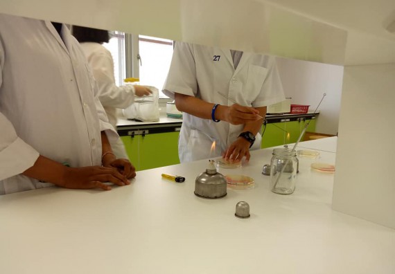 ภาพกิจกรรม โปรแกรมวิชาชีววิทยา จัดค่ายเทคนิคปลอดเชื้อและเพาะเลี้ยงเนื้อเยื่อพืช