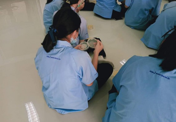 ภาพกิจกรรม โปรแกรมวิชาชีววิทยา จัดค่ายเทคนิคปลอดเชื้อและเพาะเลี้ยงเนื้อเยื่อพืช