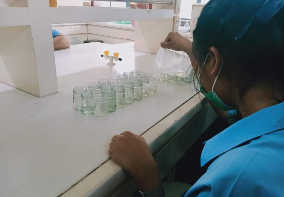 ภาพกิจกรรม โปรแกรมวิชาชีววิทยา จัดค่ายเทคนิคปลอดเชื้อและเพาะเลี้ยงเนื้อเยื่อพืช