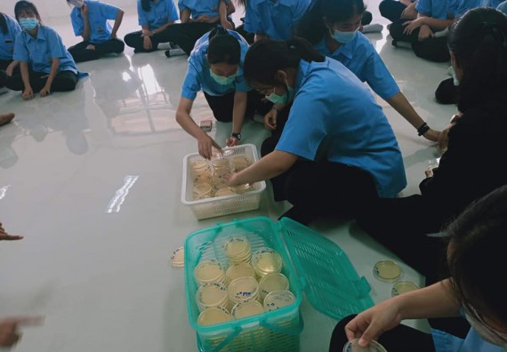 ภาพกิจกรรม โปรแกรมวิชาชีววิทยา จัดค่ายเทคนิคปลอดเชื้อและเพาะเลี้ยงเนื้อเยื่อพืช