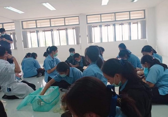 ภาพกิจกรรม โปรแกรมวิชาชีววิทยา จัดค่ายเทคนิคปลอดเชื้อและเพาะเลี้ยงเนื้อเยื่อพืช