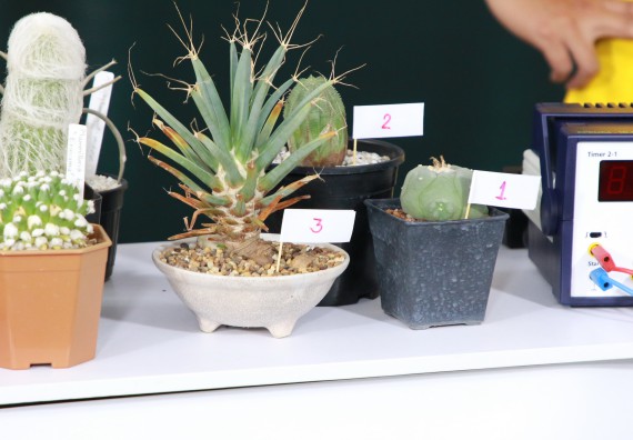 ภาพกิจกรรม คณะวิทยาศาสตร์และเทคโนโลยี จัดกิจกรรม Scitech Live KPRU