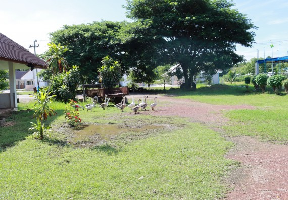 คณะวิทยาศาสตร์และเทคโนโลยี เข้าร่วมกิจกรรมBig Cleaning Day