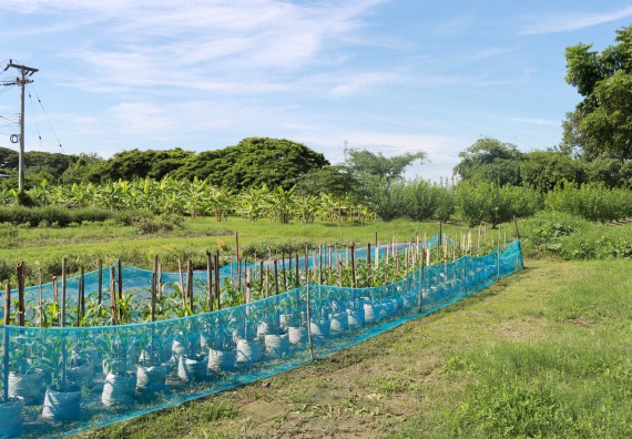 คณะวิทยาศาสตร์และเทคโนโลยี เข้าร่วมกิจกรรมBig Cleaning Day