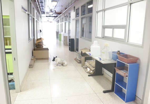 คณะวิทยาศาสตร์และเทคโนโลยี เข้าร่วมกิจกรรมBig Cleaning Day