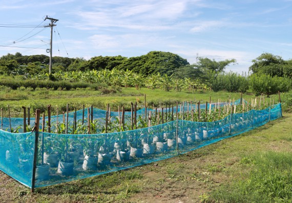 คณะวิทยาศาสตร์และเทคโนโลยี เข้าร่วมกิจกรรมBig Cleaning Day